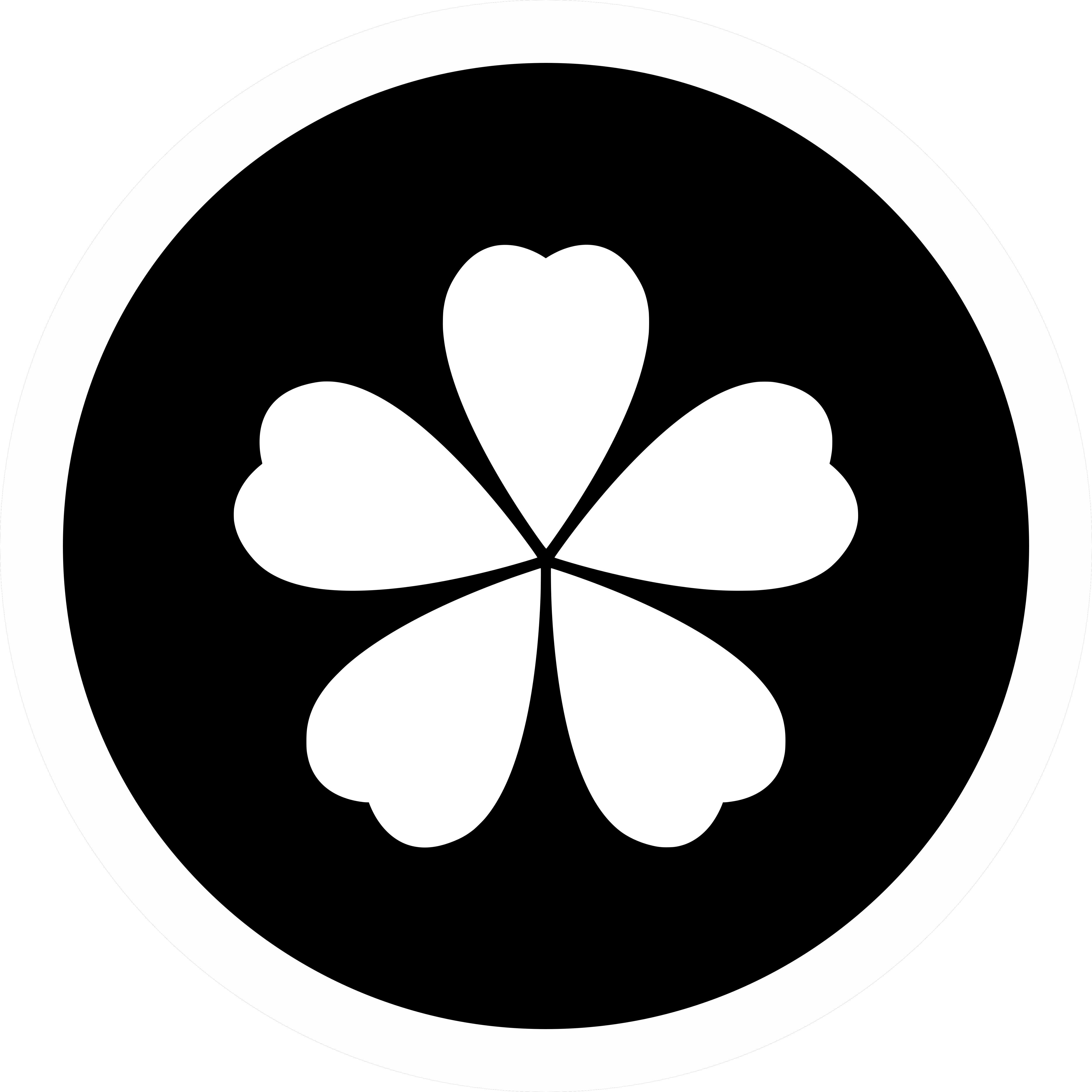 Fortis Studio logo